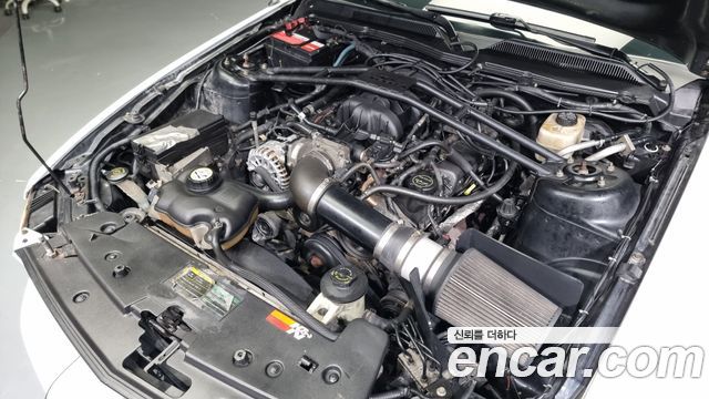 ford | ford mustang | mustang