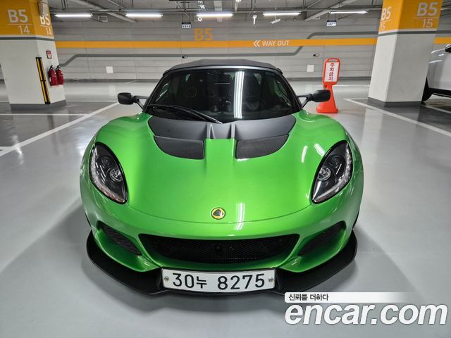 Lotus | Lotus Ellis | Ellis