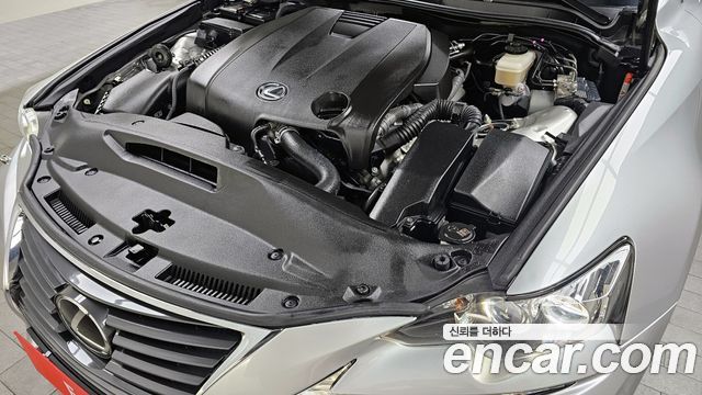 Lexus | Lexus New IS250 | New IS250