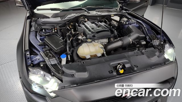 ford | ford mustang | mustang