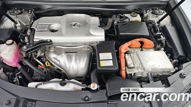 Lexus | Lexus New ES300h | New ES300h