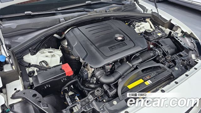 Jaguar | Jaguar F-PACE