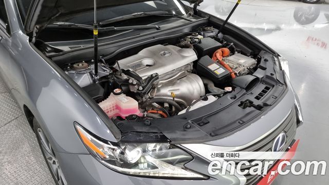 Lexus | Lexus New ES300h | New ES300h