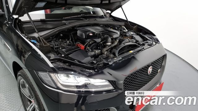 Jaguar | Jaguar F-PACE