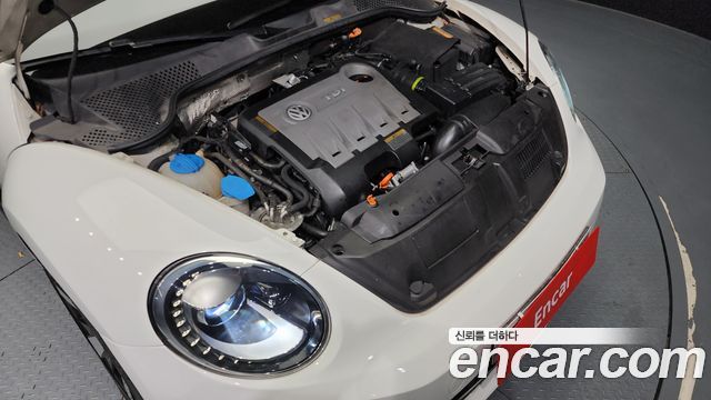 Volkswagen | Volkswagen The Beetle | The Beetle