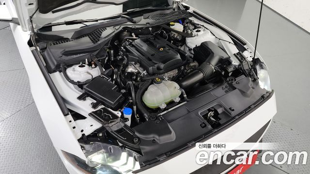 ford | ford mustang | mustang