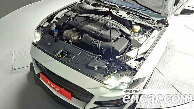 ford | ford mustang | mustang