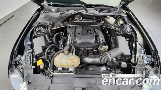 ford | ford mustang | mustang