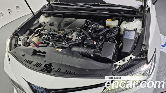 Toyota | Toyota Camry (XV70) | Camry (XV70)