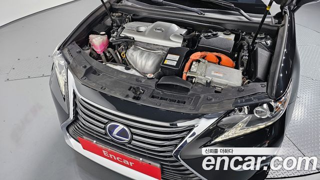 Lexus | Lexus New ES300h | New ES300h