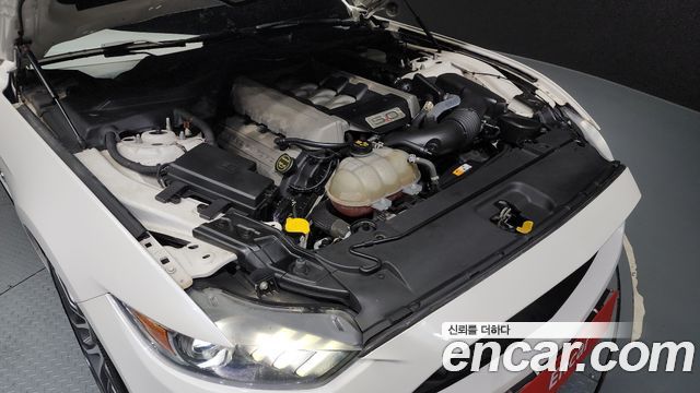 ford | ford mustang | mustang