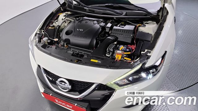 nissan | nissan Maxima (A36) | Maxima (A36)