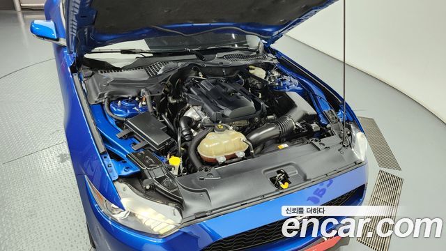 ford | ford mustang | mustang