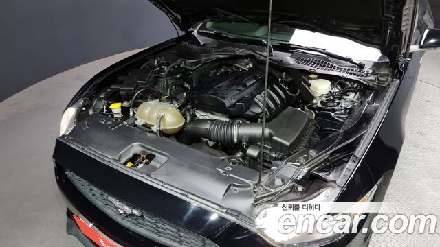 ford | ford mustang | mustang