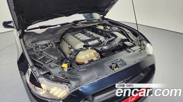 ford | ford mustang | mustang