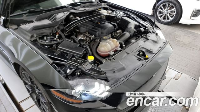 ford | ford mustang | mustang