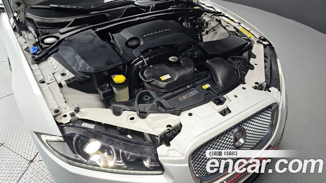 Jaguar | Jaguar New XF