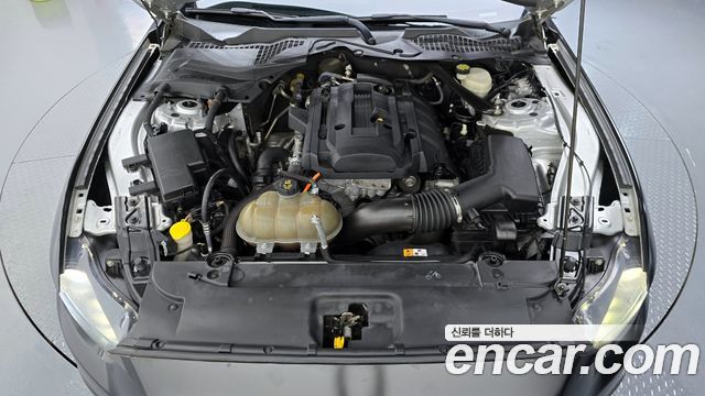 ford | ford mustang | mustang