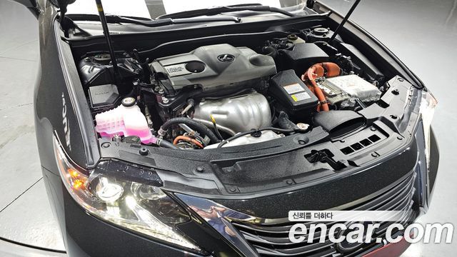 Lexus | Lexus New ES300h | New ES300h