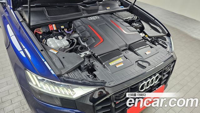 Audi | Audi SQ8 (4M)
