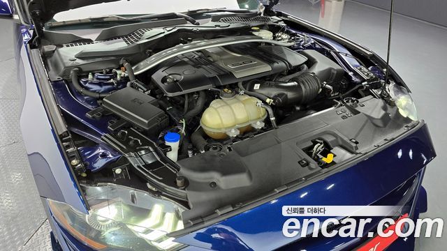 ford | ford mustang | mustang