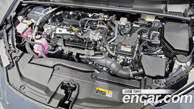 Toyota | Toyota Prius 5th Generation | Prius 5th Generation