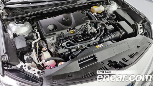 Toyota | Toyota Camry (XV70) | Camry (XV70)