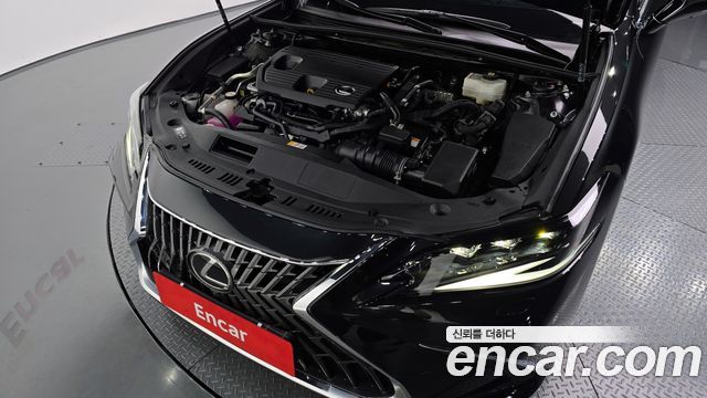Lexus | Lexus ES300h 7th generation | ES300h 7th generation