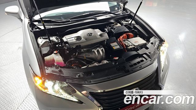 Lexus | Lexus New ES300h | New ES300h