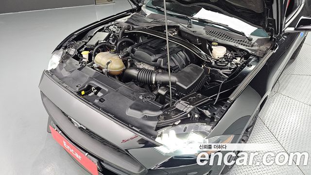 ford | ford mustang | mustang