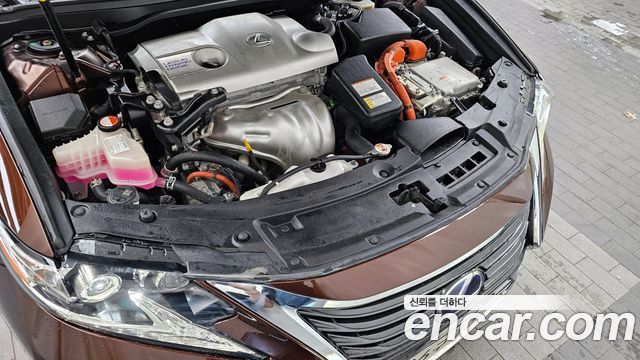 Lexus | Lexus New ES300h | New ES300h