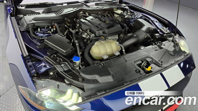 ford | ford mustang | mustang