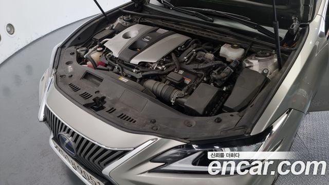 Lexus | Lexus ES300h 7th generation | ES300h 7th generation