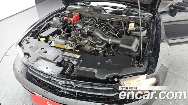 ford | ford mustang | mustang