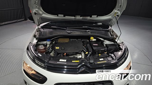 Citroen/DS | Citroen/DS C4 Cactus | C4 Cactus