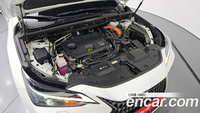 Lexus | Lexus NX350h 2nd generation | NX350h 2nd generation