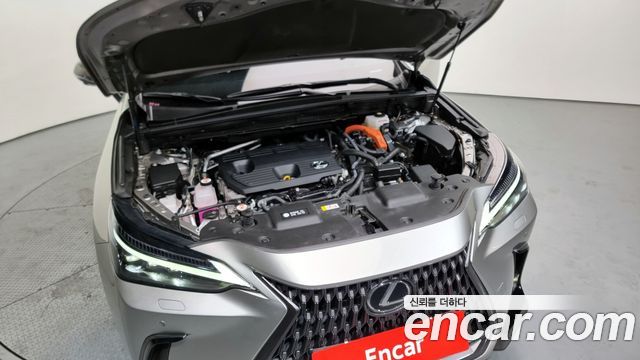 Lexus | Lexus NX350h 2nd generation | NX350h 2nd generation