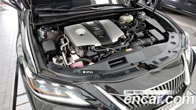 Lexus | Lexus ES300h 7th generation | ES300h 7th generation