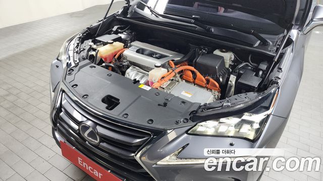 Lexus | Lexus NX300h