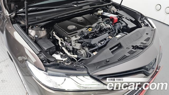 Toyota | Toyota Camry (XV70) | Camry (XV70)