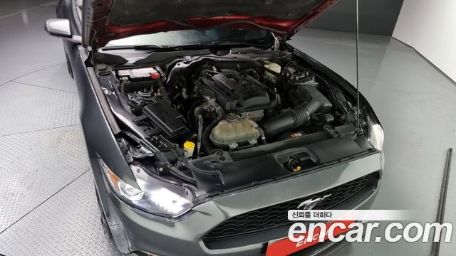 ford | ford mustang | mustang