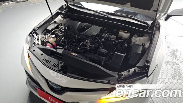 Toyota | Toyota Camry (XV70) | Camry (XV70)