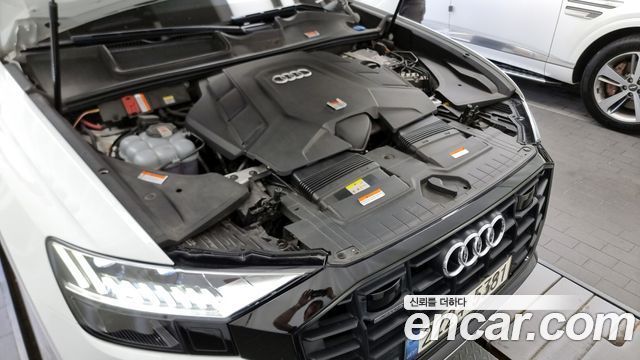 Audi | Audi Q8 (4M)