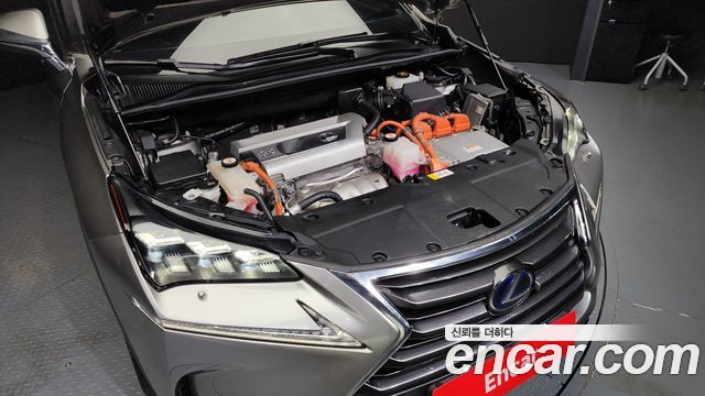 Lexus | Lexus NX300h