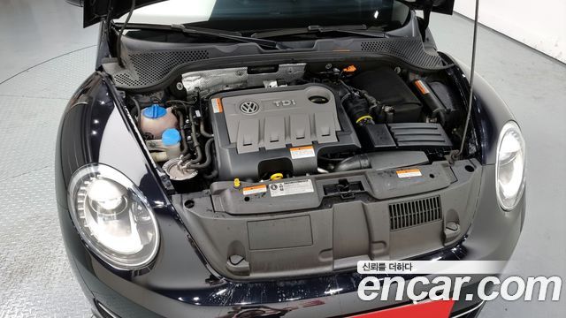 Volkswagen | Volkswagen The Beetle | The Beetle