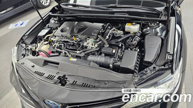 Toyota | Toyota Camry (XV70) | Camry (XV70)