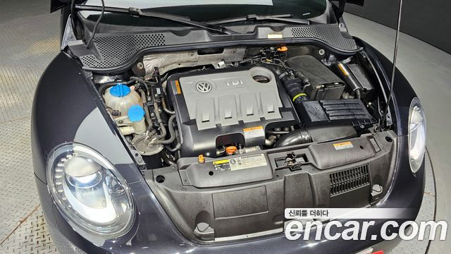 Volkswagen | Volkswagen The Beetle | The Beetle