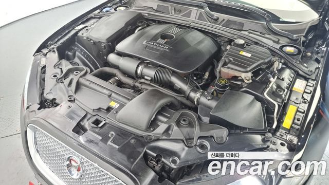 Jaguar | Jaguar New XF