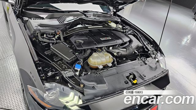 ford | ford mustang | mustang