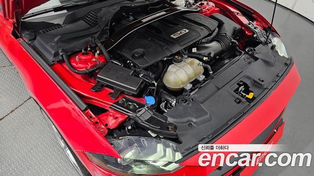 ford | ford mustang | mustang